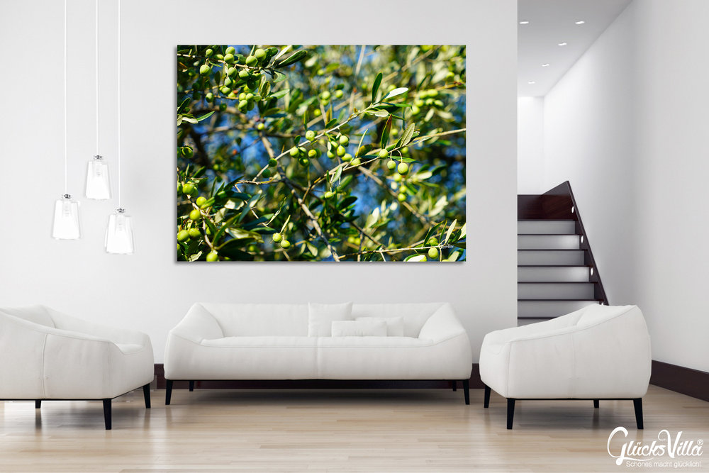 Glas-Bild Wandbilder Druck auf Glas 100x50 Deko Landschaften Olivenbaum 