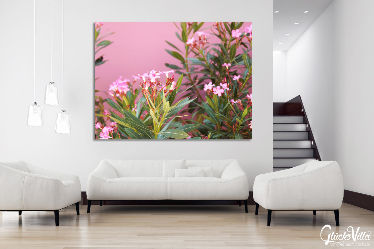 Wandbild: Kreta rosa Oleander-Blüten