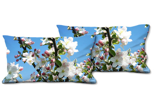Deko-Foto-Kissen, Set, Apfelblüten-Frühling 1, 80 x 40 cm, Premium Kissenhülle, Zierkissen