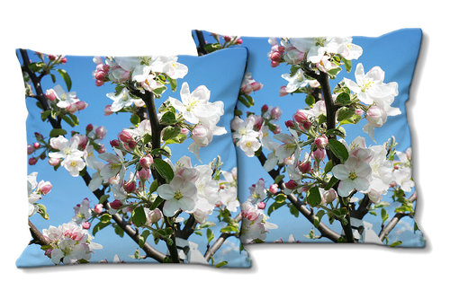 Deko-Foto-Kissen, Set, Apfelblüten-Frühling 1, 40 x 40 cm, Premium Kissenhülle, Zierkissen