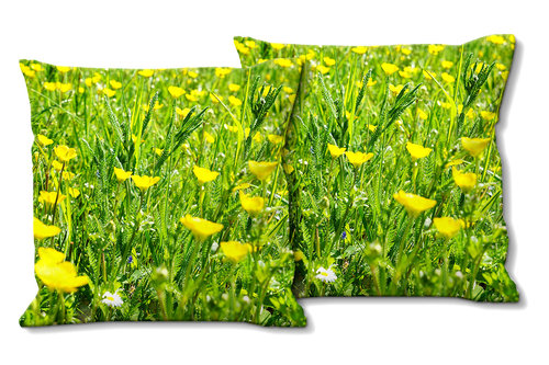 Deko-Foto-Kissen, Set, Butterblumen-Frühlingswiese, 40 x 40 cm, Premium Kissenhülle, Zierkissen
