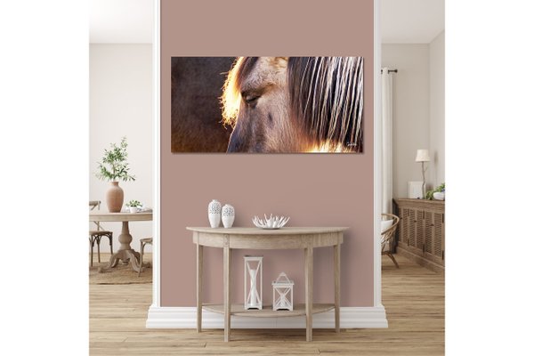 Wandbild: Wildpferd 1