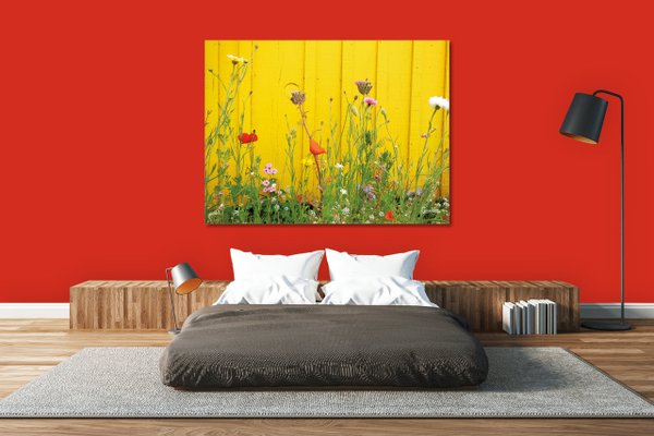 Wandbild: Wildblumen vor gelber Wand