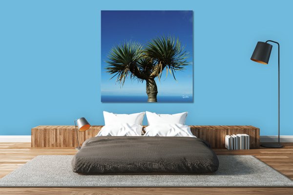 Wandbild: Griechische Palme
