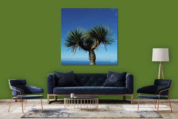 Wandbild: Griechische Palme