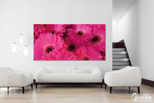 Wandbild: Gerbera in Pink