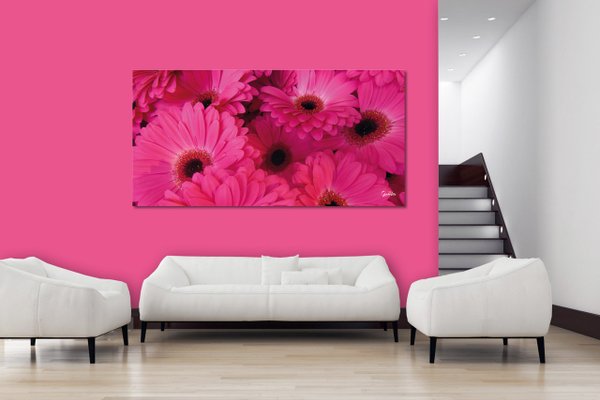 Wandbild: Gerbera in Pink