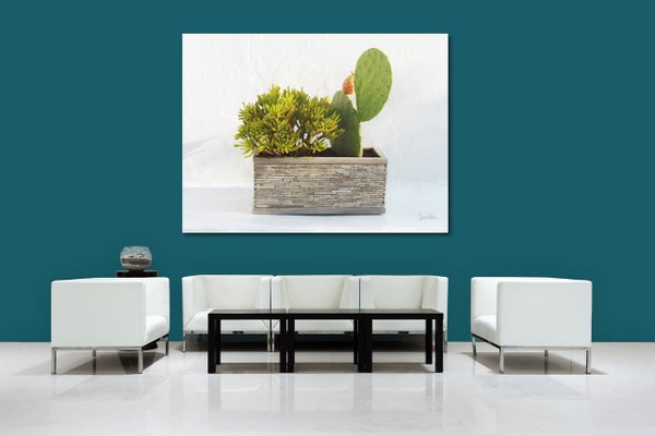 Wandbild: Pflanzen vor weiß