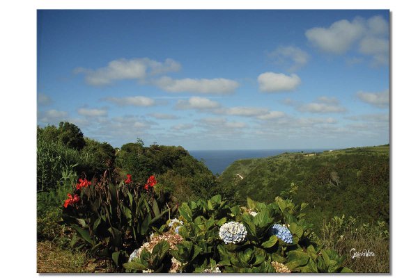 Wandbild: Pflanzenwelt der Azoren