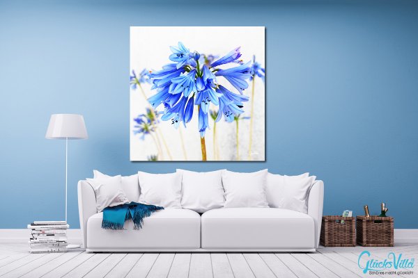 Wandbild: Blüte in zartem Blau