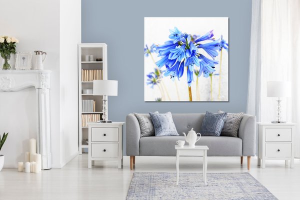 Wandbild: Blüte in zartem Blau