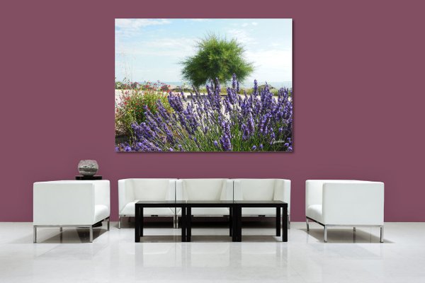 Wandbild: Lavendel und Baum