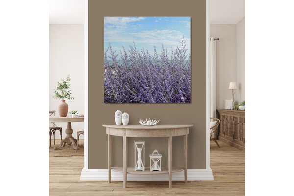 Wandbild: Lavendel vor blauem Himmel