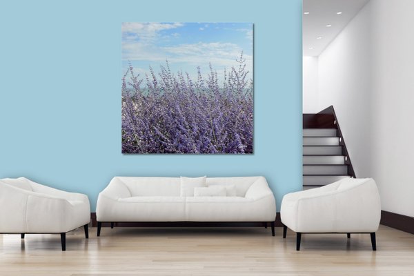 Wandbild: Lavendel vor blauem Himmel