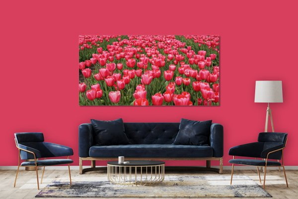 Wandbild: Tulpenmeer 1