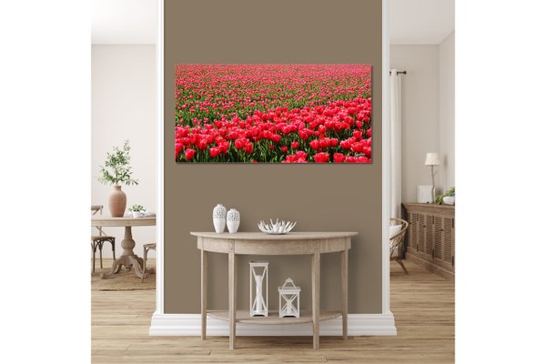 Wandbild: Tulpenmeer 2
