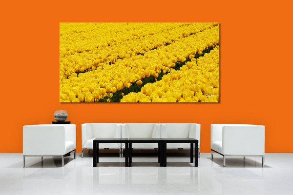 Wandbild: Tulpenmeer 4