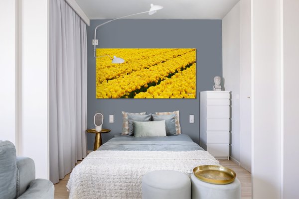 Wandbild: Tulpenmeer 4