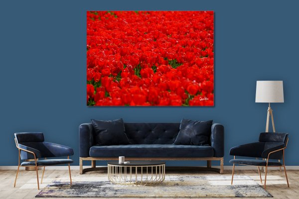 Wandbild: Tulpenmeer 6