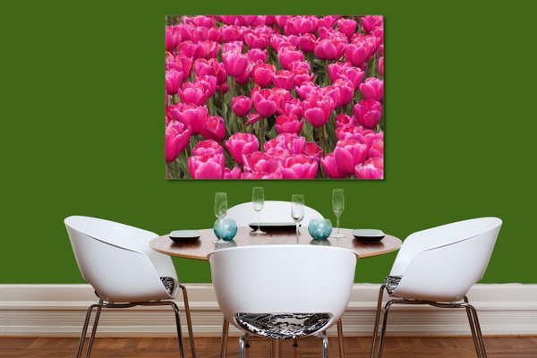 Wandbild: Tulpenmeer 8