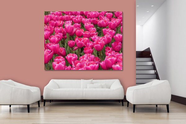 Wandbild: Tulpenmeer 8
