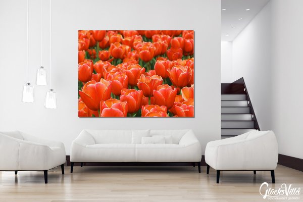 Wandbild: Tulpenmeer 9