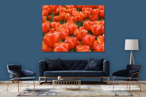 Wandbild: Tulpenmeer 9