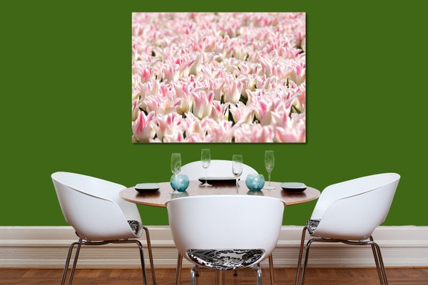Wandbild: Tulpenmeer 10