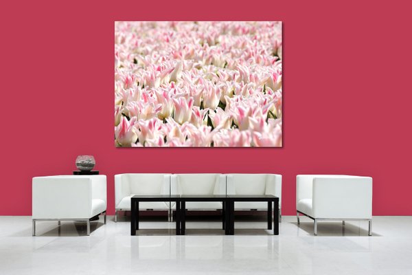 Wandbild: Tulpenmeer 10