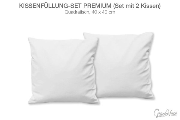 Kissenfüllung Set (2 Stk) Premium, 40 x 40 cm, für Dekokissen, Ersatzkissenfüllung