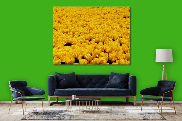 Wandbild: Tulpenmeer 5
