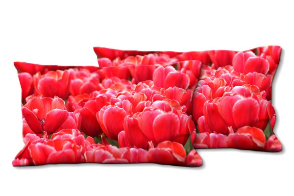 Dekokissen Set, Tulpenmeer 7, 80 x 40 cm, Premium Kissenhülle, Zierkissen, Kissenbezug