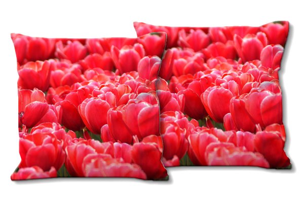 Dekokissen Set, Tulpenmeer 7, 40 x 40 cm, Premium Kissenhülle, Zierkissen, Kissenbezug