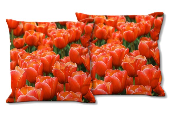 Dekokissen Set, Tulpenmeer 9, 40 x 40 cm, Premium Kissenhülle, Zierkissen, Kissenbezug