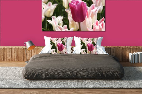 Dekokissen Set, Tulpenmeer 12, 40 x 40 cm, Premium Kissenhülle, Zierkissen, Kissenbezug