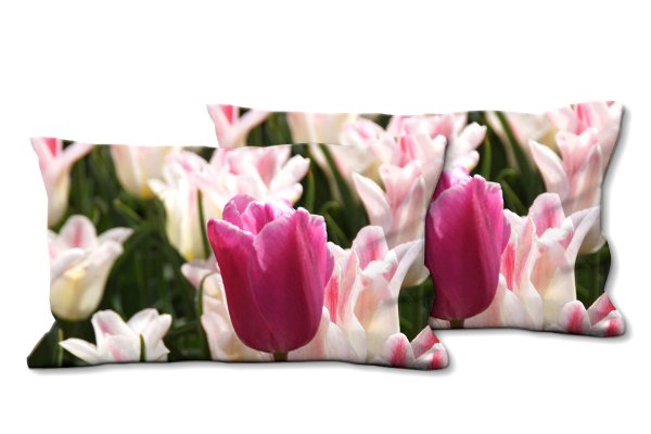Dekokissen Set, Tulpenmeer 12, 80 x 40 cm, Premium Kissenhülle, Zierkissen, Kissenbezug
