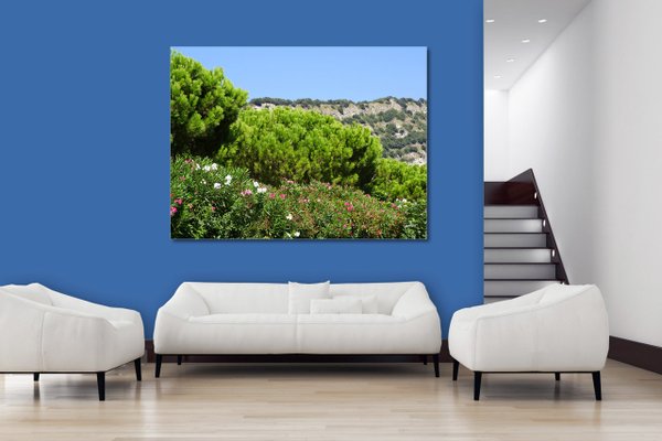 Wandbild: Gardasee Landschaft 2