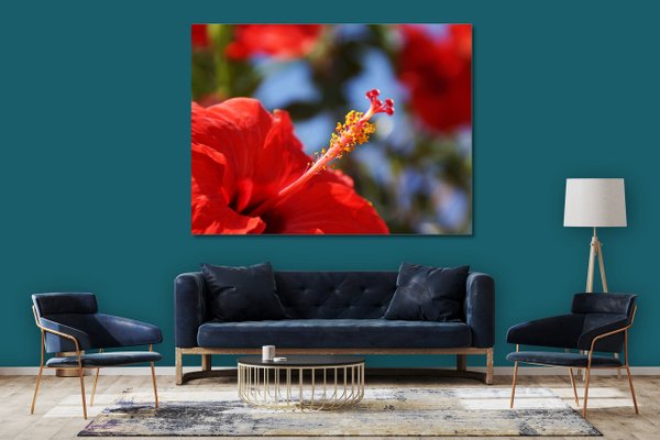 Wandbild: Kreta roter Hibiskus