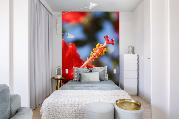Fototapete selbstklebend - Motiv: Kreta roter Hibiskus