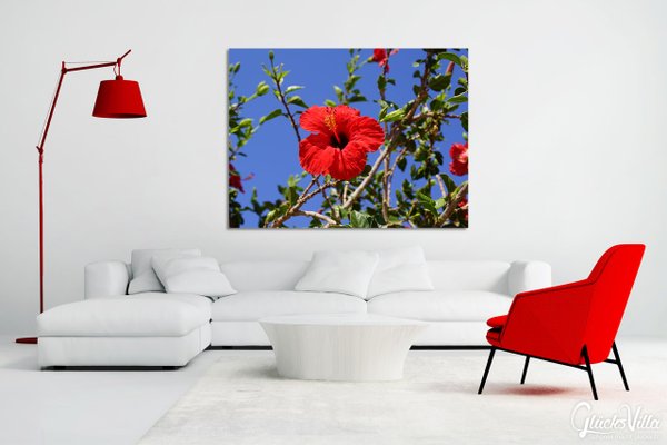 Wandbild: Kreta roter Hibiskus 2