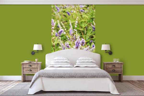Fototapete selbstklebend - Motiv: Kreta lila Blütentraum