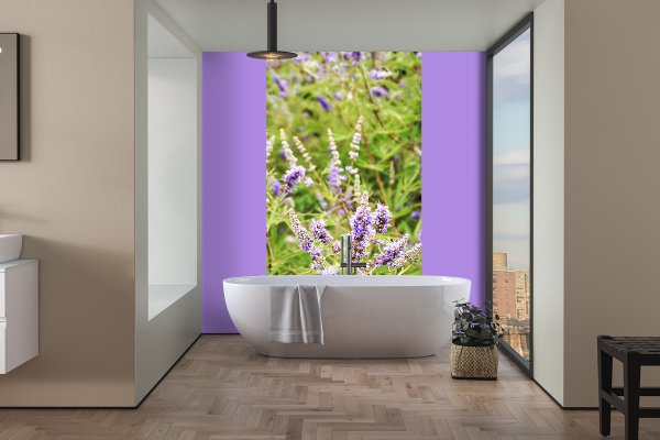 Fototapete selbstklebend - Motiv: Kreta lila Blütentraum