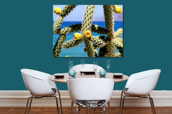 Wandbild: Kreta gelbe Kaktusblüten