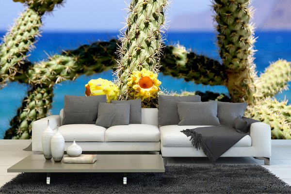 Fototapete selbstklebend - Motiv: Kreta gelbe Kaktusblüten