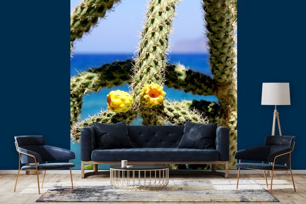 Fototapete selbstklebend - Motiv: Kreta gelbe Kaktusblüten