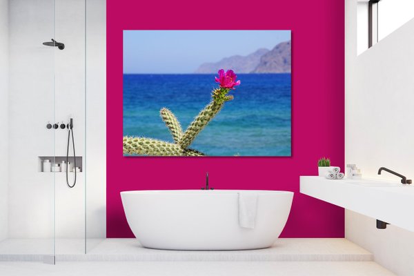 Wandbild: Kreta pinke Kaktusblüte