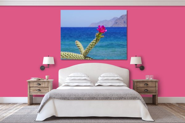Wandbild: Kreta pinke Kaktusblüte