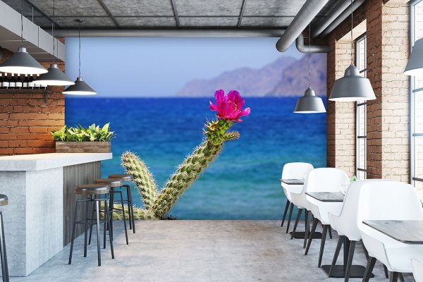 Fototapete selbstklebend - Motiv: Kreta pinke Kaktusblüte