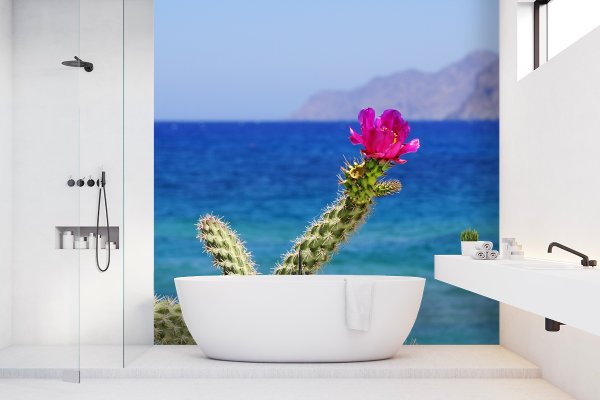 Fototapete selbstklebend - Motiv: Kreta pinke Kaktusblüte