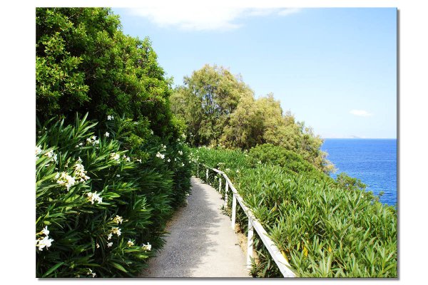 Wandbild: Kreta Oleander-Küstenweg